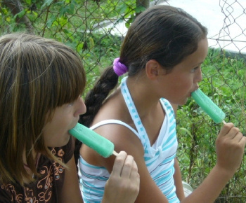 Volejbal Jalšovík 2009