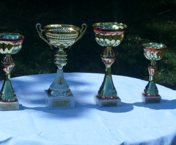 Futbal Zemiansky Vrbovok 2008